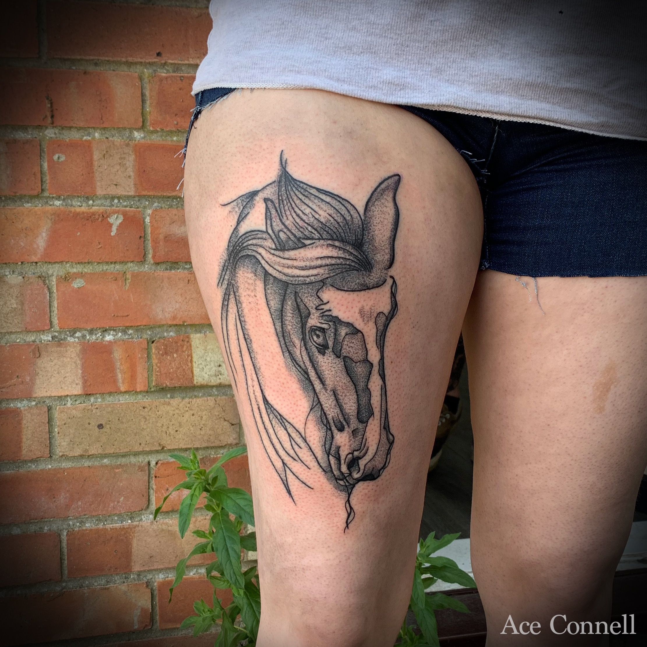 Grizzly Bear by Joe Ayala @ Aces Tattoo Denton,TX : r/tattoos