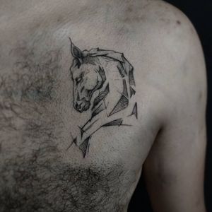 #horsetattoo #horse #tattooline #lines #sketchtattoo #fineline 