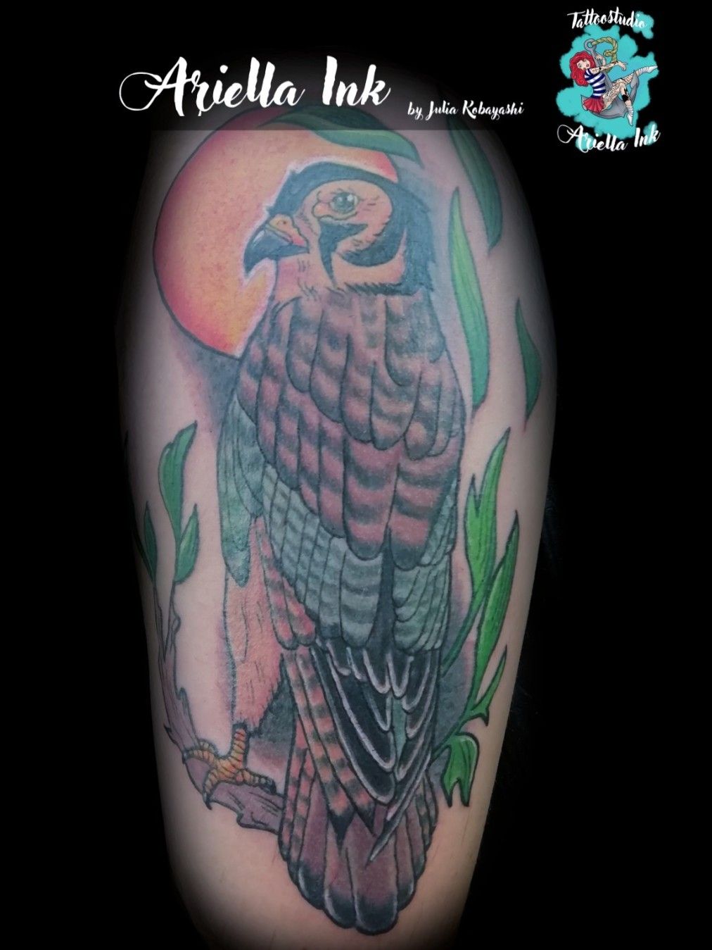 Tattoo uploaded by Iulius Tattoo • Hawk Tattoo • Tattoodo