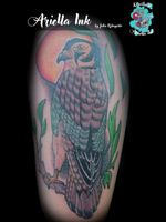 Neotraditional Hawk #tattoo #tattoos #freshink #freshlyinked #neotradeu #neotradsub #neotraditionaltattoo #neotraditional #hawk #hawktattoo #neotraditionalhawk #colortattoo