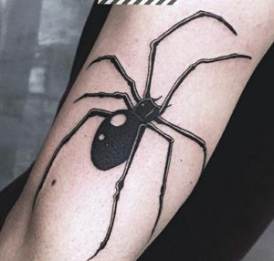 #tatuagem #tattoo #pirituba #pirituba_ink #saopaulo #aranha #tattooaranha #autoral #blackworktattoos #sketchtattoo #spider #blackwork 