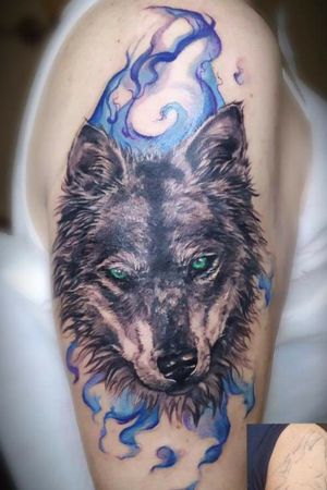 Wolf. Coverup