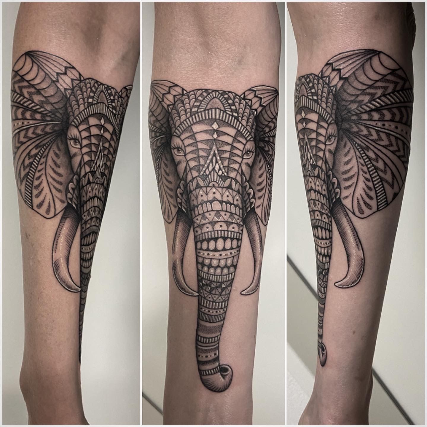 Geometric Elephant Tattoo | TikTok