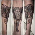 #Tattoo #tatouage #elephant #elephantmandala #mandala #mandalatattoo #dot #dots #stippletattoo #dotwork #dotworktattoo #dotworkers #petitspoints #lausanne #lausannetattoo #tattoolausanne #fann_ink
