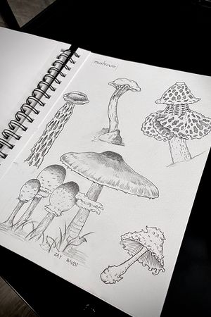 #mushroom #tattoo