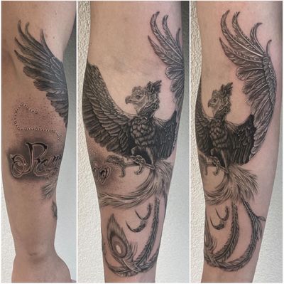 #tattoo #tatouage #tattoooftheday #phoenix #phoenixtattoo #bird #birdtattoo #dot #dotwork #dotworktattoo #dotworkers #blackandgreytattoo #realistictattoo #realisticink #realism #lausanne #lausannetattoo #tattoolausanne #fann_ink