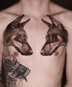 Dog tattoo by Anna Chernova #AnnaChernova #dog #dobermann #chesttattoo #realism