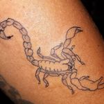 Nova tatu de escorpião 
