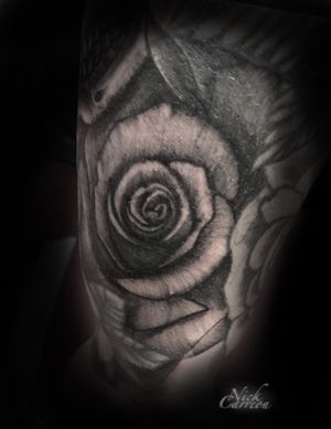 Close up of the rose from the previous post 