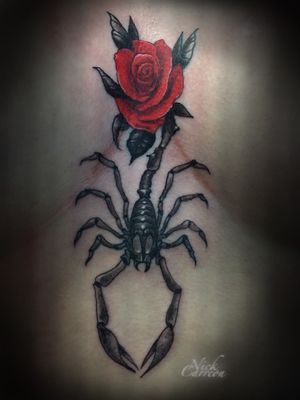 Close up of the Scorpion rose from the previous post 