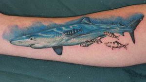 Blue shark tattoo done for Richie