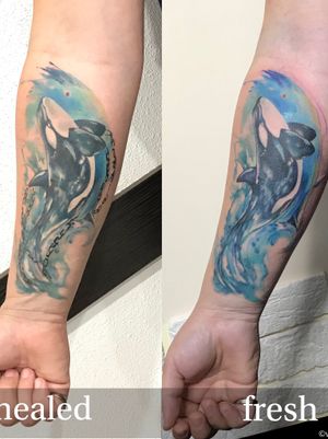 A watercolor killer whale, a sketch was drawn to order, a tattoo session lasted 4 hours. #killerwhale #watercolortattoo