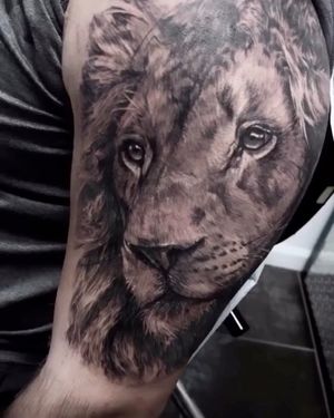 Lion done by Andy Jung 