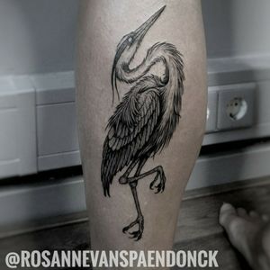 Heron by Rosanne van Spaendonck