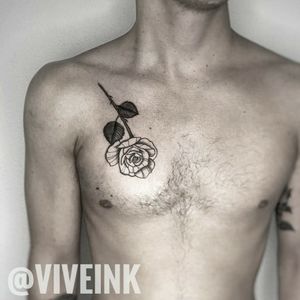 Rose by Viveink