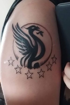 Liverbird tattoo with 6 champions league stars
