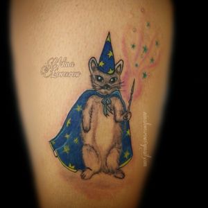 Super fun tattoo! Wizard cat 🐈