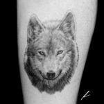 Instagram: @rusty_hst Small realistic wolf done on forearm. #wild #wolf #realism #blackandgrey