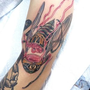 #montreal #mtl #quebec #canada #insect #insects #realism #neotrad #neotraditional #illustrative
