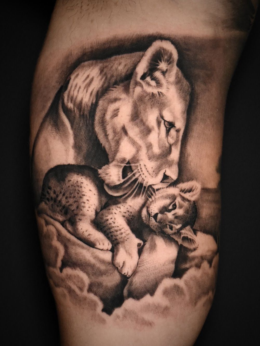 MagnumTattooSupplies on Twitter Lioness and cub by Stephanie Melbourne  Art and Tattoos using magnumtattoosupplies  liontattoo lionesstattoo  lioncubtattoo bnginksociety bngtattoo blackandgrey blackandgreytattoo  skinartmag silverbackink 