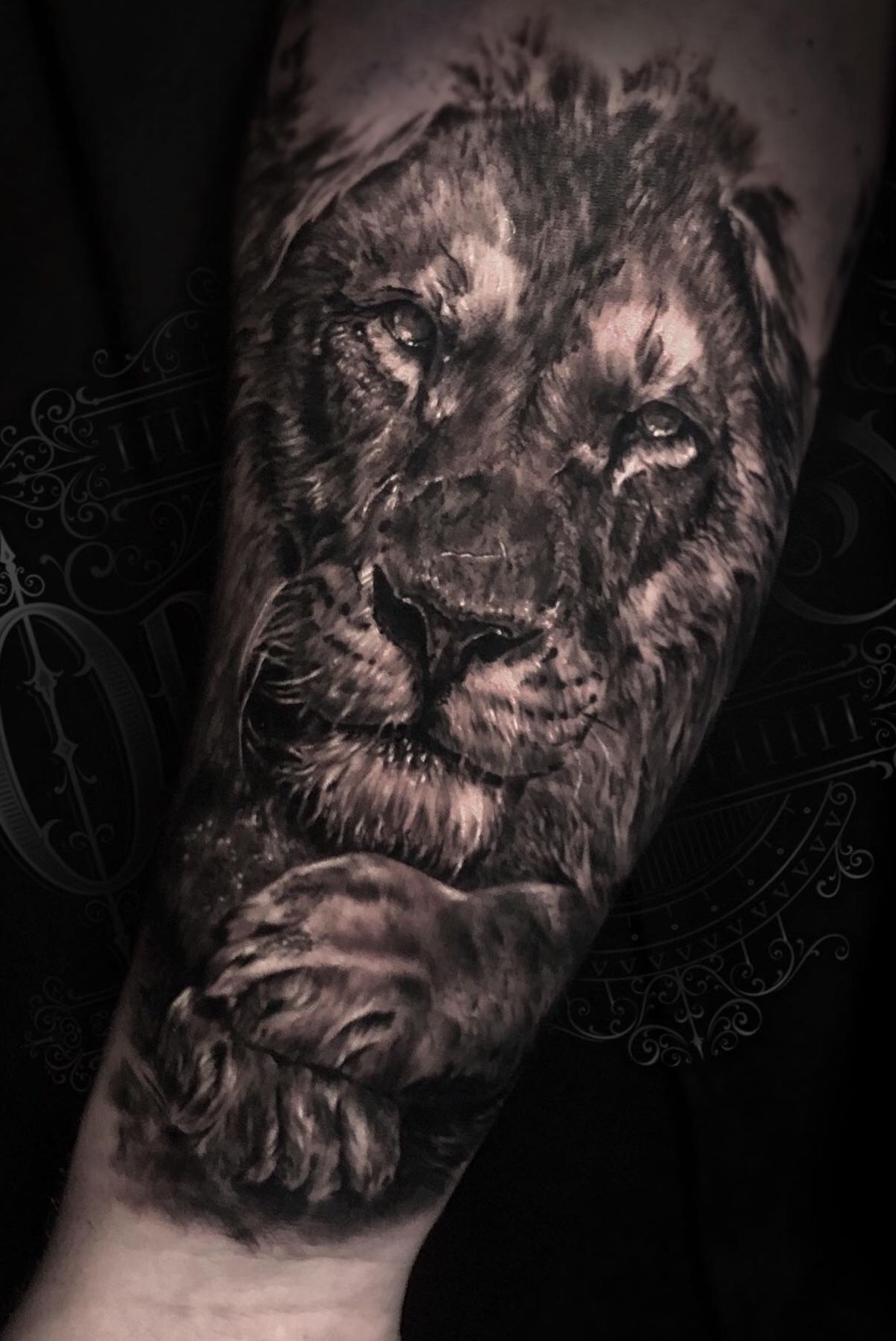 50 Lion Back Tattoo Designs for Men [2024 Inspiration Guide] | Lion back  tattoo, Lion tattoo, Lion head tattoos