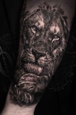 Lion on forearm #liontattoo #lion #liontattoos #torontotattoo #torontotattoos