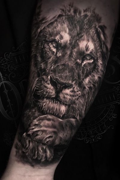 Explore the 50 Best Lion Tattoo Ideas (2020) • Tattoodo