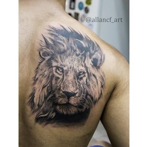Leão em realismo #lion #leao 