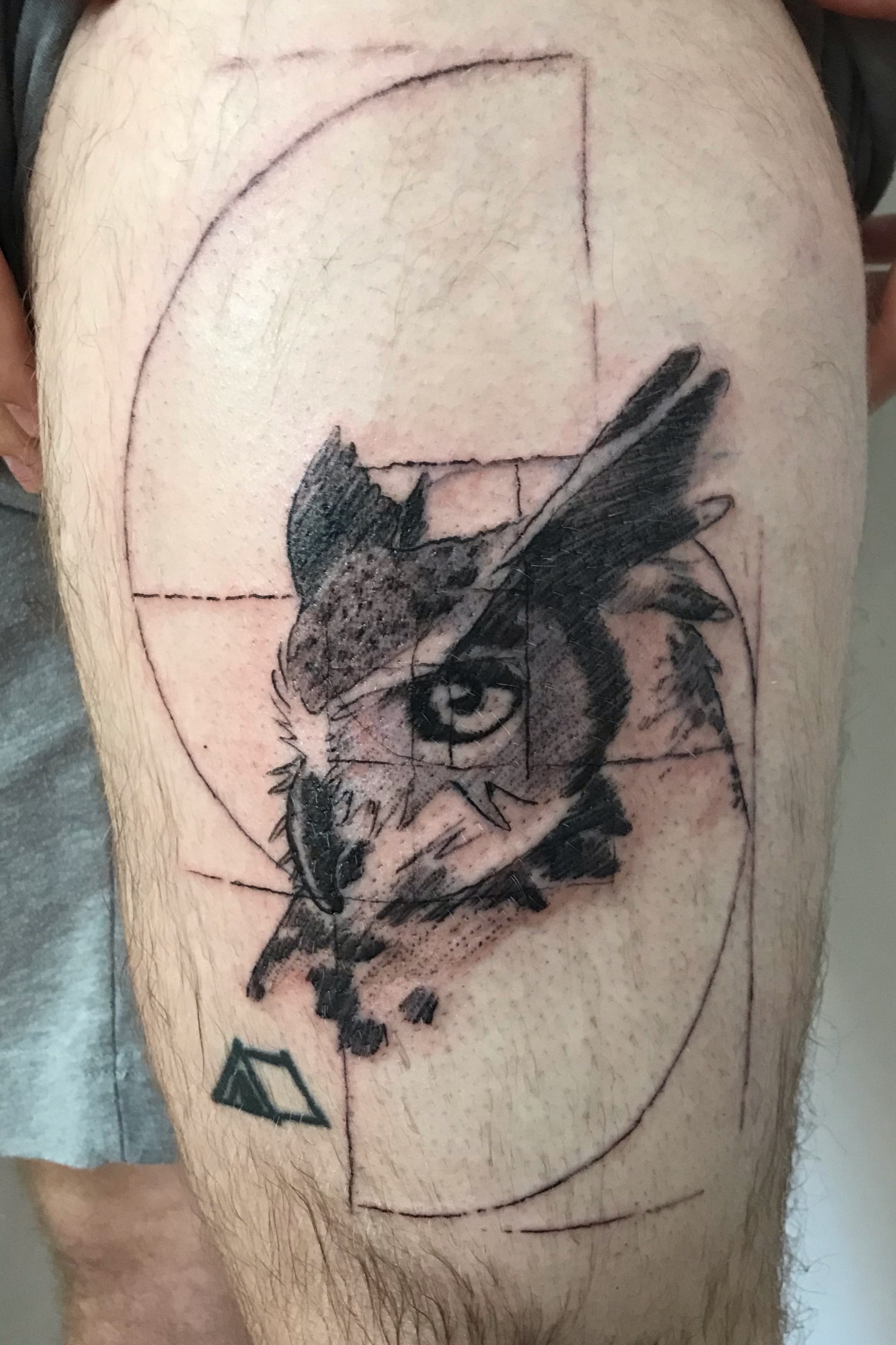 Tattoo uploaded by Reese Tattoos • Sketchbook owl with some Golden ratio • Tattoodo Tattoo uploaded by Reese Tattoos • Sketchbook owl with some Golden ratio • Tattoodo