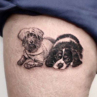 Tiny Dog Portraits 🐶 #micro #fineline #dogportrait #smalltattoo #dogs #blackandgrey #realistic