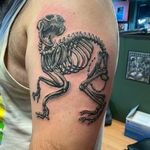 Feline skeleton black and gray upper arm client brought in reference 