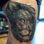 Black and gray lion 