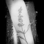 Floral tattoo!! #floraltattoo #blackwork #linework #simpletattoo #staugustinetattooartist #floridatattooartist #minimalisttattoo 