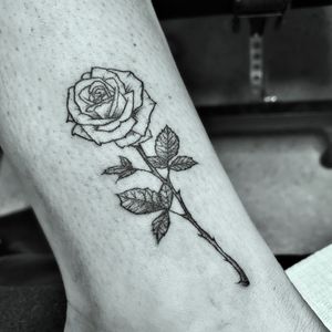 Fine line rose tattoo