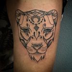 Roar!!! 🦁 #lioness #lionesstattoo #tattoo #tattoos #tattooideas #tattooed #tattooartist #tattooist #tattoodo #tattoo2me #tattooinspiration #tattooidea #tattooforgirls #tattooforwomen #tattooforlife #ink #inked #inkedforlife #inkedgirls #cheyennetattooequipment #cheyennepen #roar #tattoolove #tattoostudio #lionesstattoo #bodyart #tatuaz #polonia #tilburg