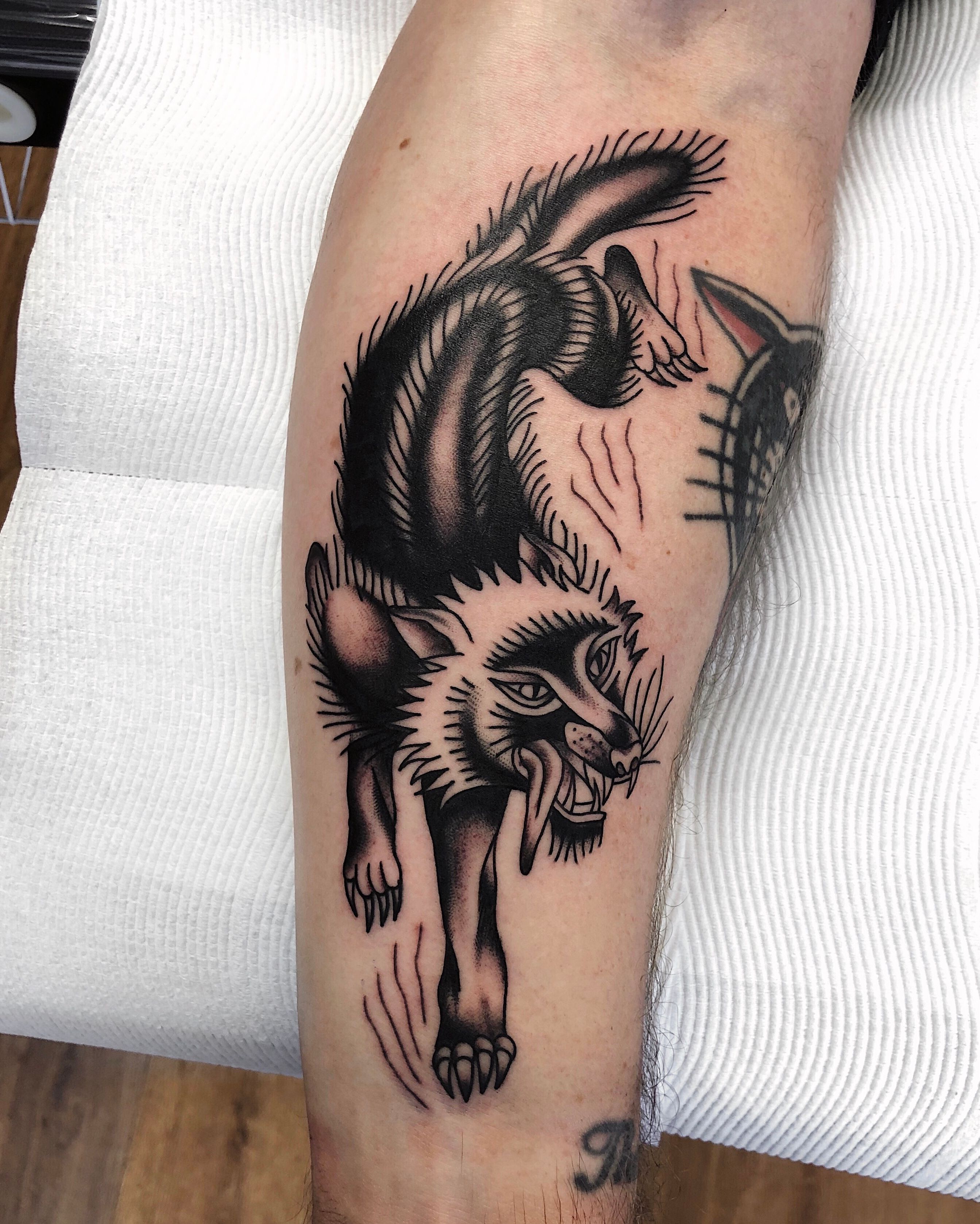 Coyote head by Andy Canino at Dedication Tattoo Denver CO  rtattoos