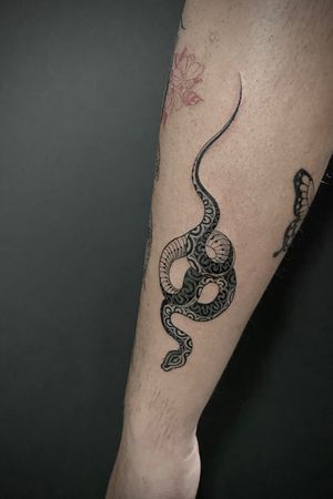 #snake #blackandgray#tattoo