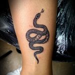 Micro snake tattoo done by me junior