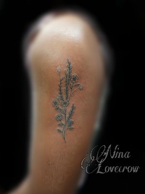 Single line freehand flowers#LovecrowTattoos #Inked #BishopFamily #TattooLife #Tattoos #FemaleTattooArtist #BodyArt #InstaArt #PhotoOfTheDay #inknest  #TattooArt #TattooLovers #Tatuaje #inked 