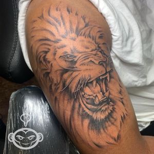 Angry lion by Oz Mafioso