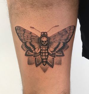 Moth with dotwork 