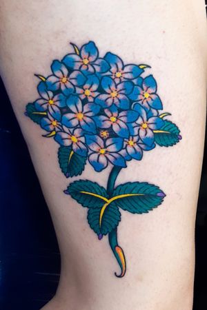 Bella hortensia Es super entretenido interpretar flora que no estan muy ligada al tatuaje tradicional , si tienes una idea similar podemos trabajar en ella. Fue una sesion corta pero intensa. 