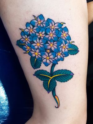 Bella hortensiaEs super entretenido interpretar flora que no estan muy ligada al tatuaje tradicional , si tienes una idea similar podemos trabajar en ella.Fue una sesion corta pero intensa.