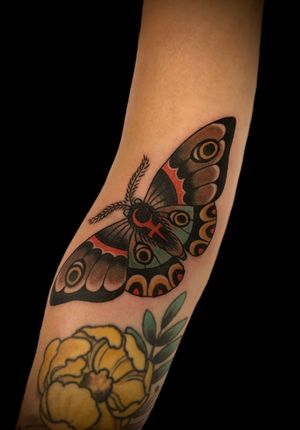 Lilith moth for Allison 🧝🏻‍♀️