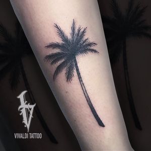 Black palm ᯽ 