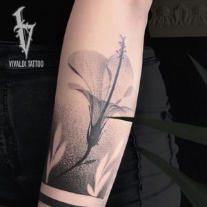 Floral Half sleeve ᯽