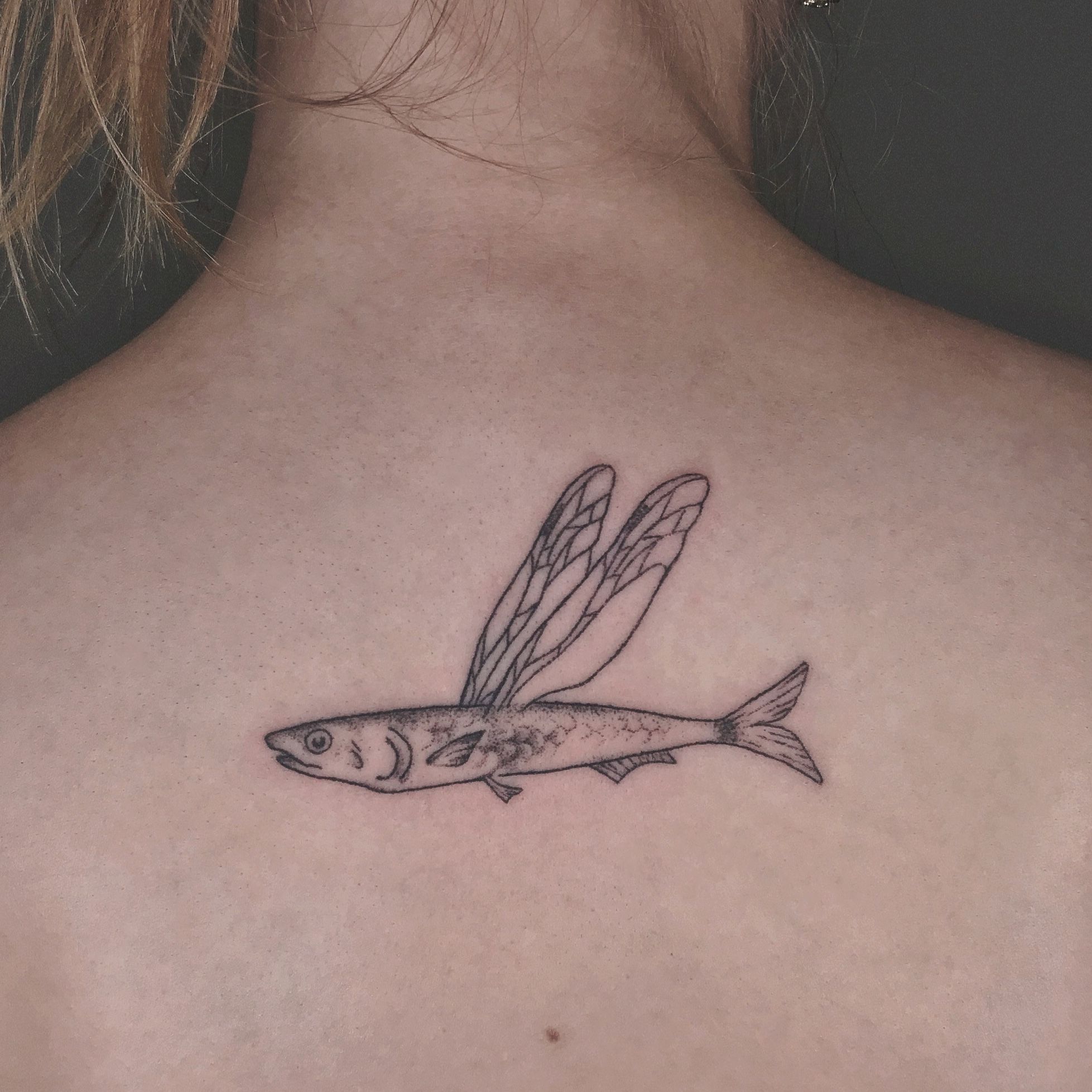 flying fish  Independent Tattoo  Flickr