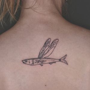 Another flying fish