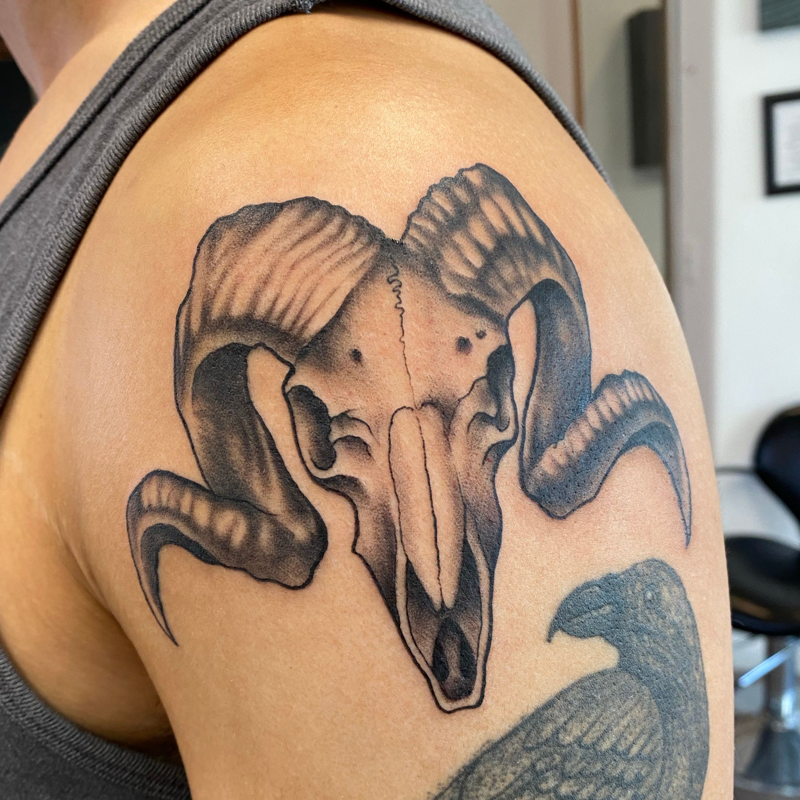 ram skull tattoo designs