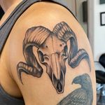 Super Fun Ram Skull Tattoo 
